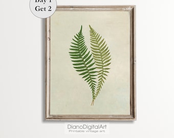 Vintage Botanical Print, Fern Art Print, Simple Branch Drawing, Farmhouse Decor, Flower Sketch Prints, Printable Digital Download
