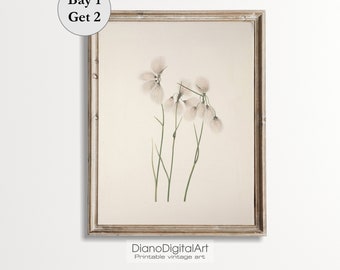 Vintage Botanical Print, Flower Sketch Prints,  Botanical Kitchen Decor, Farmhouse Decor, Printable Digital Download