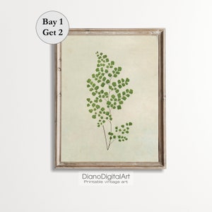 Vintage Botanical Print, Simple Branch Drawing, Farmhouse Decor, Flower Sketch Prints, Printable Digital Download