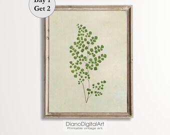 Vintage Botanical Print, Simple Branch Drawing, Farmhouse Decor, Flower Sketch Prints, Printable Digital Download