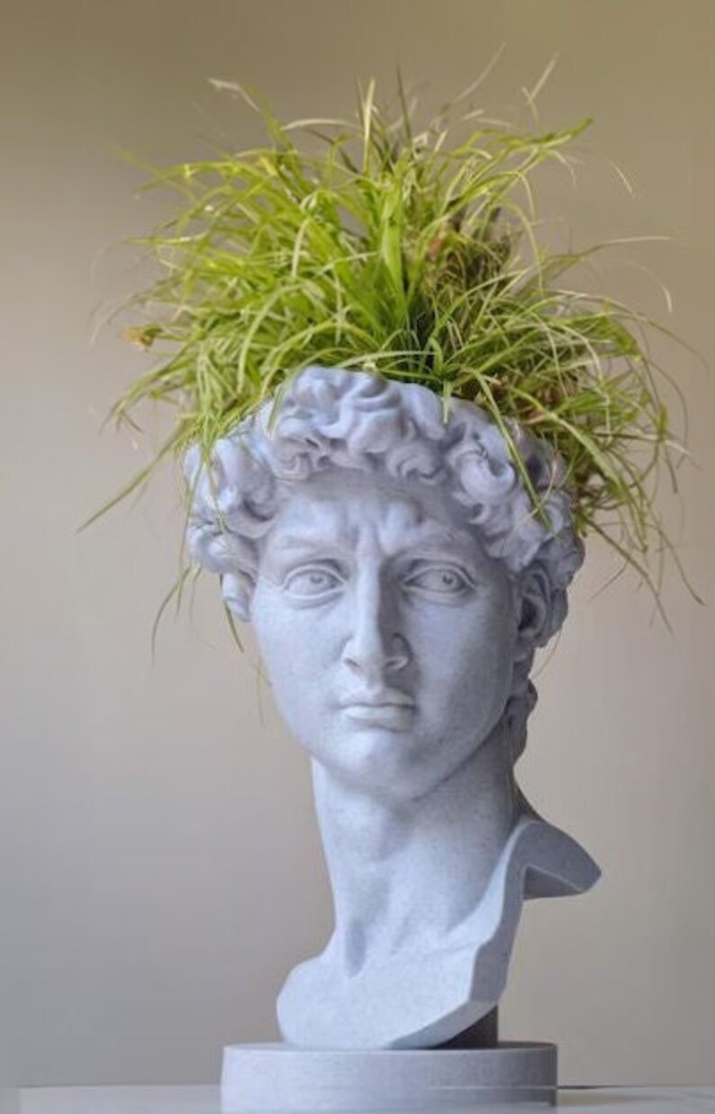 David Bust Planter Pot for Plants, Greek Plant Pot, David's Head