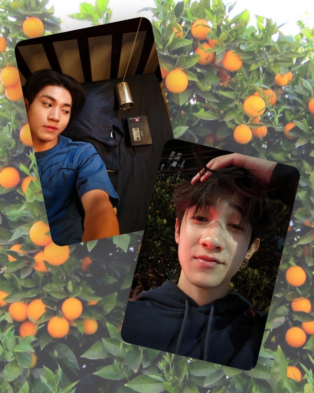 未開封 WHEN ORANGES FALL カード AlmondProgress il_1080xN.8183466864_qaro.jpg