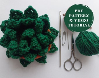 Crochet Succulent Coaster Pattern Etsy