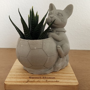 May include: A gray concrete planter shaped like a soccer ball, held by a French bulldog statue. The planter holds a green succulent plant. The base is a wooden plaque with the words "Sweet Home" and names engraved.