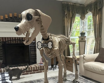 May include: A large, white, plastic dog skeleton with a black collar and a white bone tag that says "Kelce". The skeleton is standing on a black metal stand on a patterned rug. A small, grey cat is in the background.