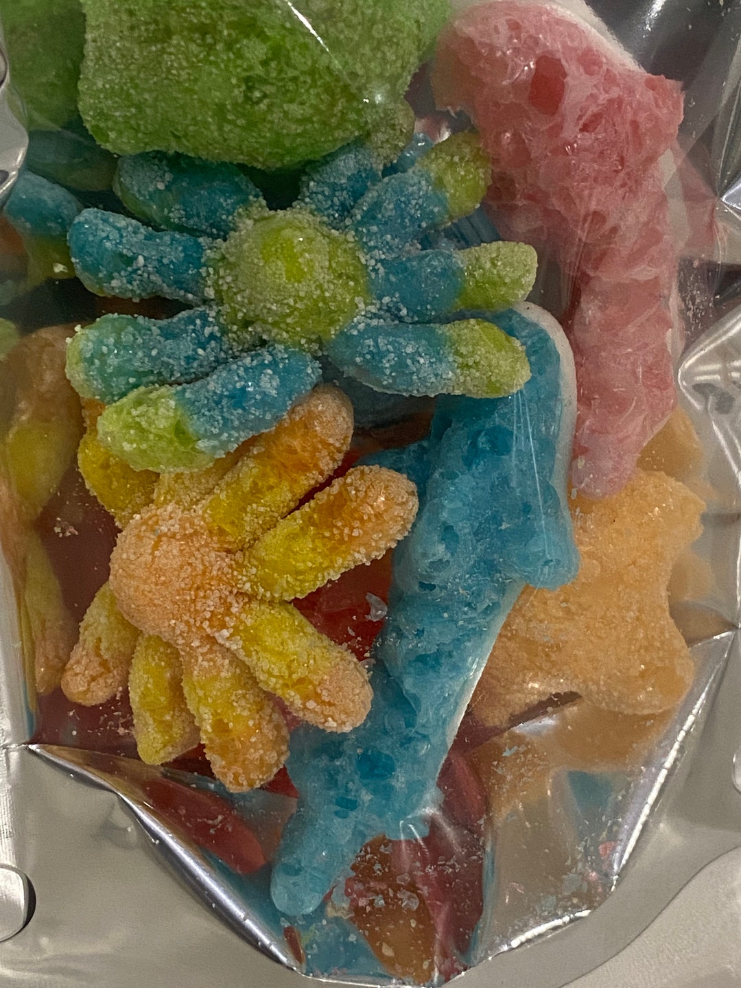 Freeze Dried Octopus Sharks and Starfish Etsy