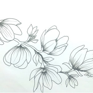 Op de afbeelding: Een zwart-witte lijntekening van een magnolia tak met vijf bloemen. De tekening is onderaan rechts gesigneerd met "LHSMY/24".