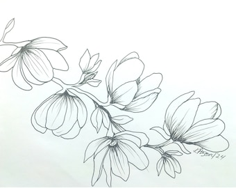 Magnolie Zeichnung