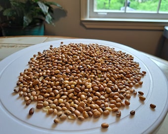 Cowpea (Vigna unguiculata) - Heat and Drought Tolerant Nitrogen-Fixing Cover Crop Seeds - half (1/2) pound