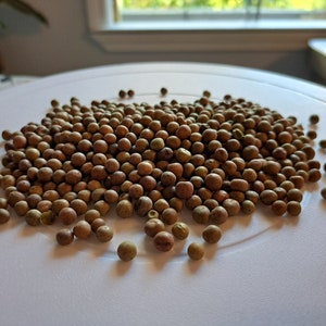 May include: A pile of small, round, brown and green seeds on a white surface.
