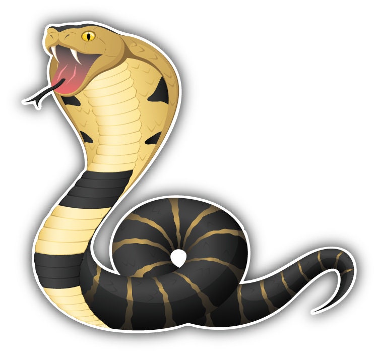 Coiled King Cobra Snake Car Bumper Sticker Decal - Etsy Coiled King Cobra Snake Car Bumper Sticker Decal - Etsy