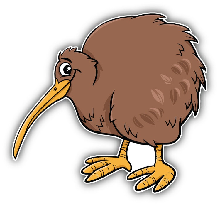 Funny Kiwi Bird Car Bumper Sticker Decal - Etsy Funny Kiwi Bird Car Bumper Sticker Decal - Etsy