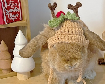May include: A tan rabbit wearing a handmade crochet hat with reindeer antlers, a red berry, and green leaves. The hat has a light brown color and is secured with a matching chin strap. A red mailbox with the text "Letters to Santa Claus" is in the background.