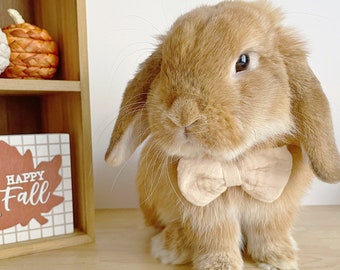 Bunny Ties / Bow, Pet Dress up