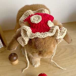 Mushroom Bunny Hat Crochet – Woodland Small Pet Costume for Rabbits