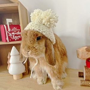 May include: A brown rabbit wearing a cream-colored crocheted hat with two pom-poms. The rabbit is sitting on a wooden surface. A red mailbox with the text "Letters to Santa Claus" is visible in the background.