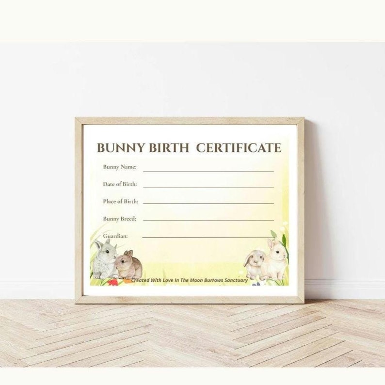 Printable Rabbit Birth Certificate Summer Bunny Birth Certificate — Sunpetal Edition, Printable Rabbit ...