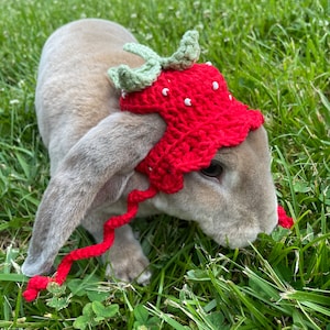 Crocheted Strawberry Hat for Bunny: Small Animal Bonnet