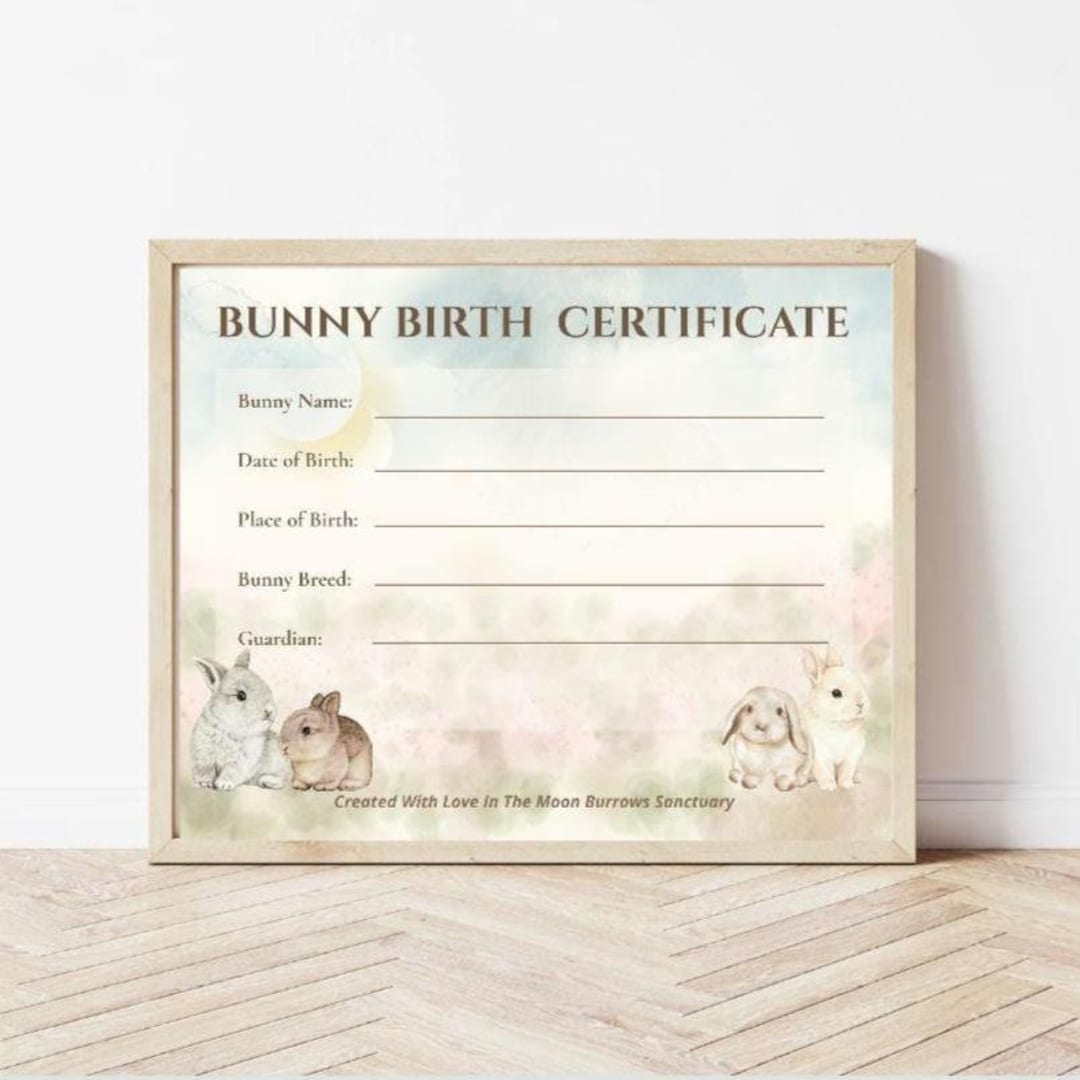 Printable Rabbit Birth Certificate Watercolor Bunny Birth Certificate, Printable Rabbit Keepsake (PDF ...