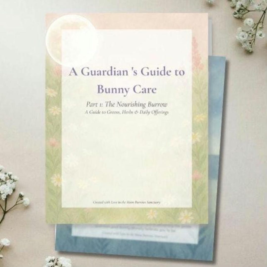 Printable Rabbit Care Rabbit Care Guide Bundle | Bunny Diet, Housing, Litter & Enrichment ...