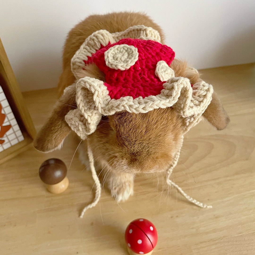 Small Crochet Rabbit Mushroom Bunny Hat Crochet – Woodland Small Pet Costume for Rabbits - Etsy