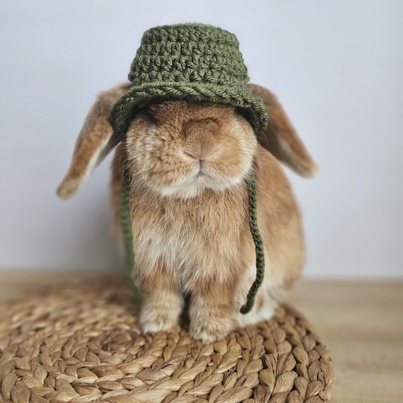 Bunny Bucket Hat, Small Pet Hat, Handmade - Etsy