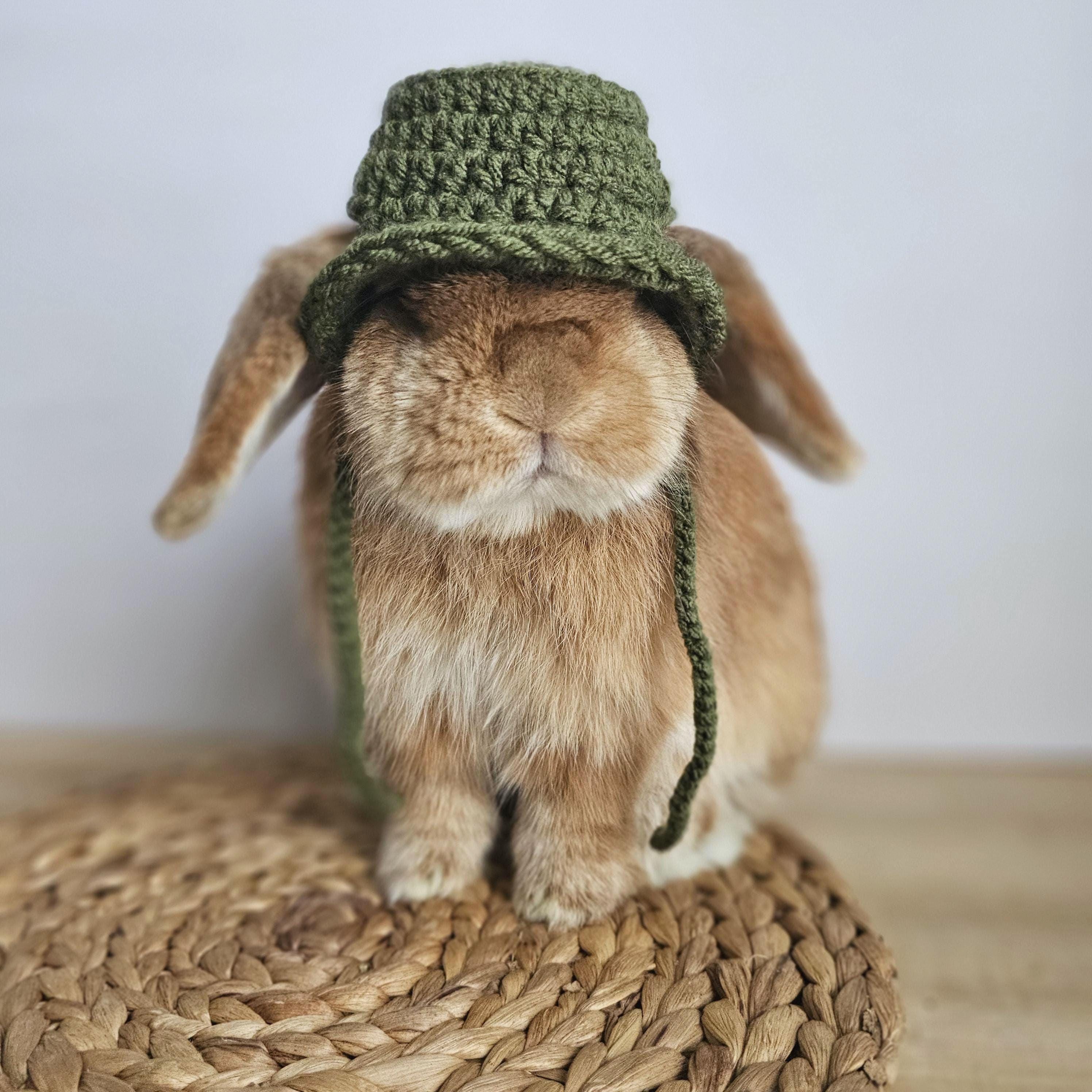 Bunny Bucket Hat, Small Pet Hat, Handmade - Etsy