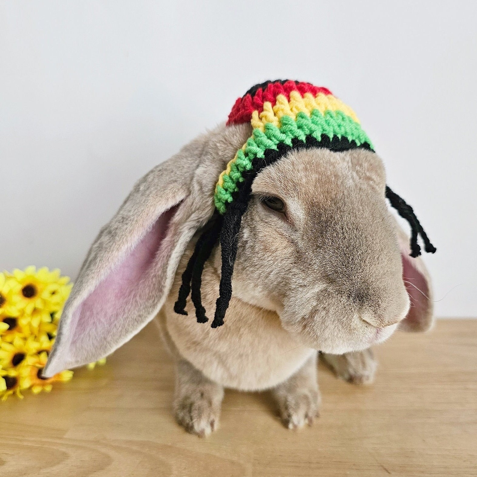 Rasta Bunny Hat With Dreadlocks: Pet Costume - Etsy