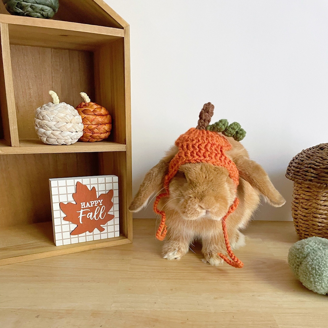 Acorn Rabbit Fall Bunny Hat, Handmade Pet Rabbit Costume - Pumpkin, Apple or Acorn ...