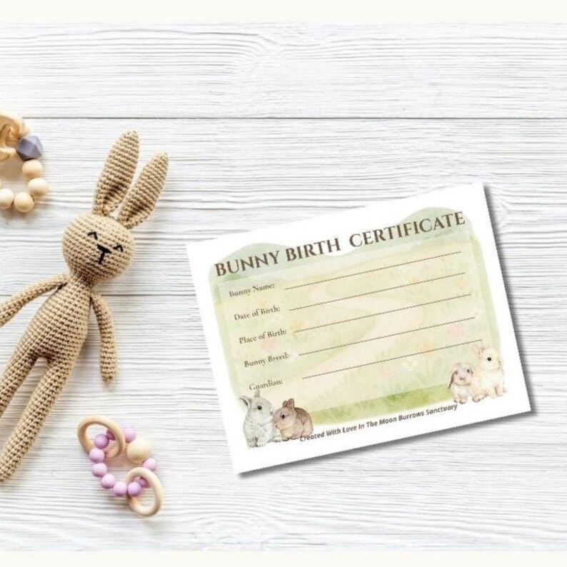 Printable Rabbit Birth Certificate Spring Bunny Birth Certificate — Bloompath Edition, Printable Rabbit ...
