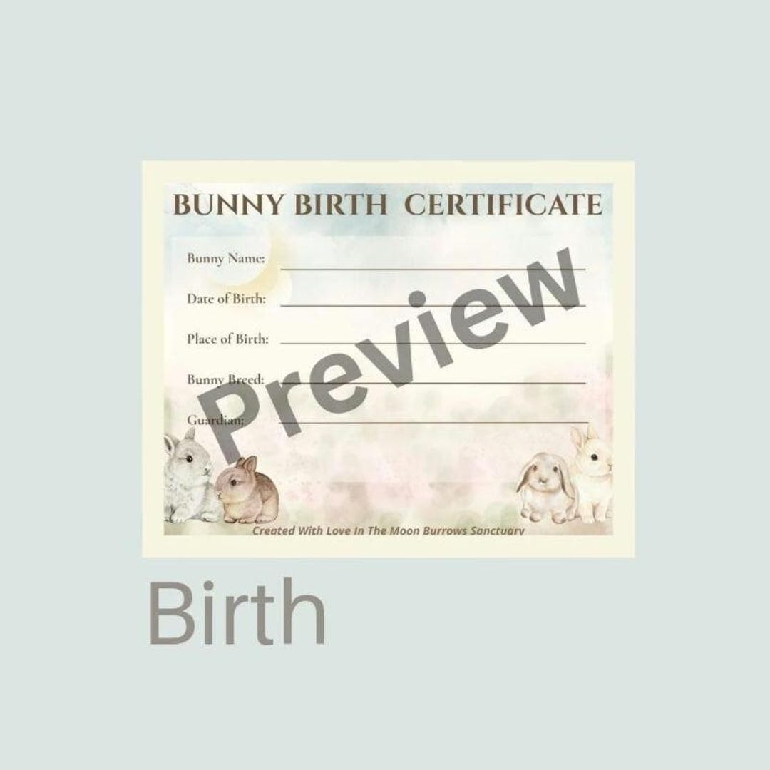 Printable Rabbit Birth Certificate Watercolor Bunny Birth Certificate, Printable Rabbit Keepsake (PDF ...