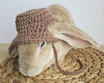 Bunny Bucket Hat, Small Pet Hat, Handmade - Etsy
