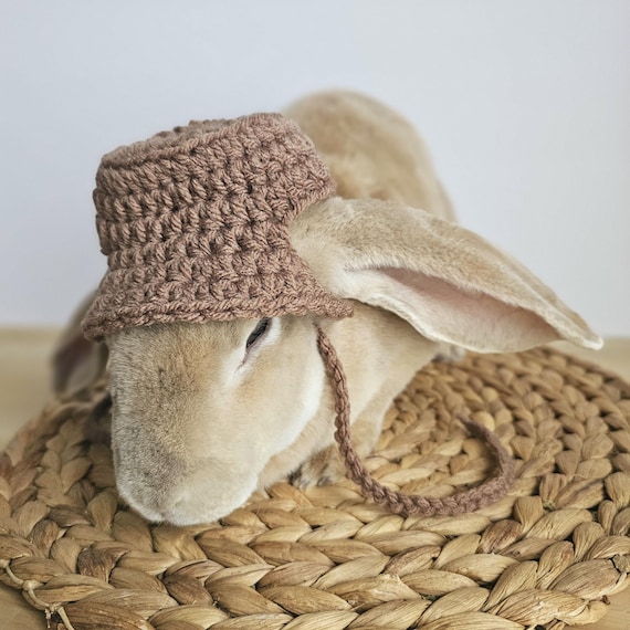 Bunny Bucket Hat, Small Pet Hat, Handmade - Etsy