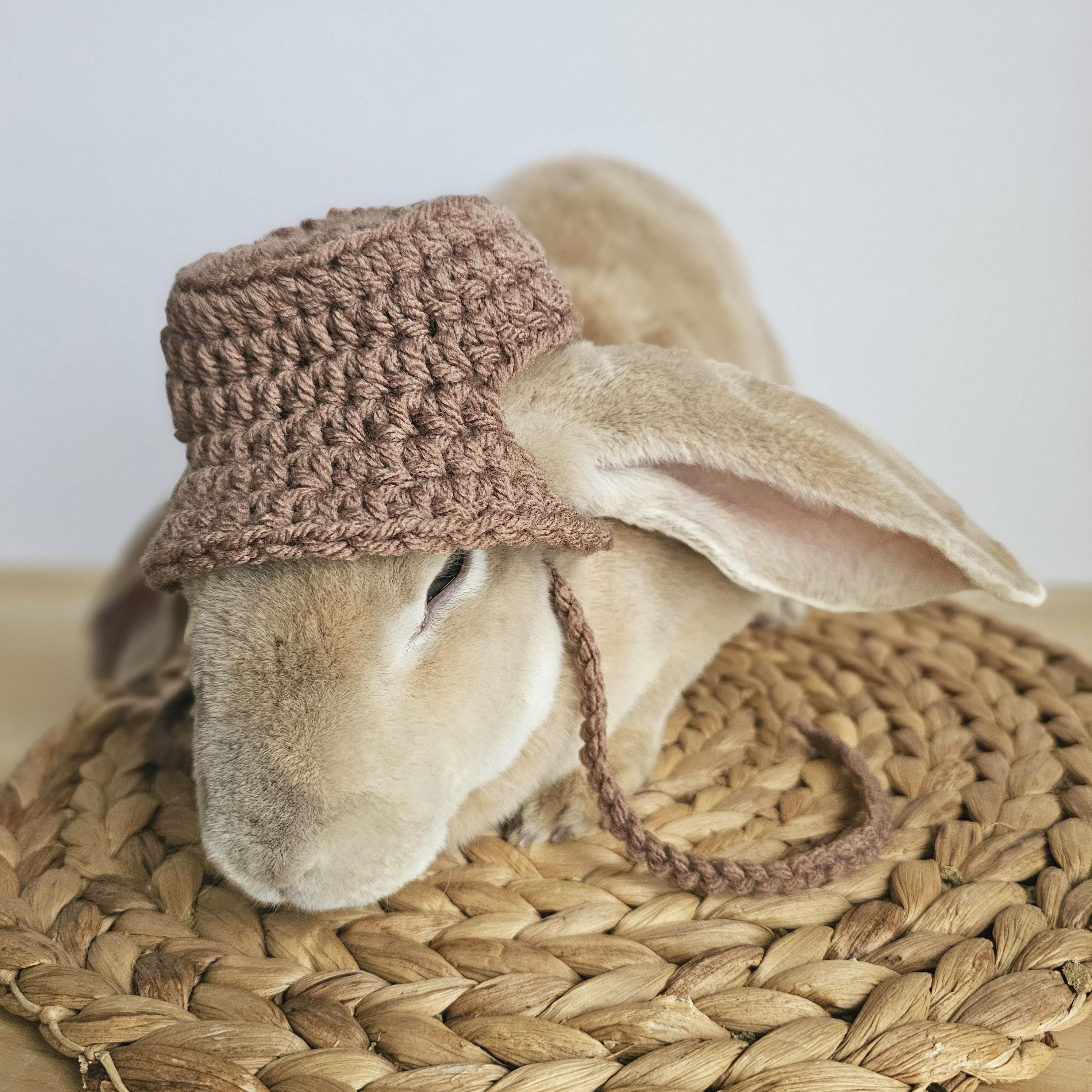 Bunny Bucket Hat, Small Pet Hat, Handmade - Etsy