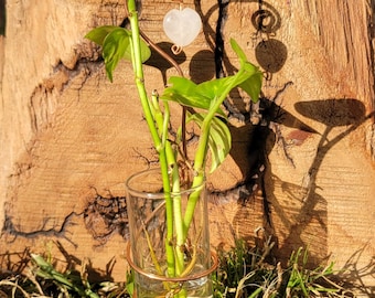 Plant Propagation Station: Copper Wire, Vase, Rose Quartz,Office Decor