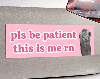 pls be patient this is me rn | Cat Meme Car Bumper MAGNET | Crying Funny Kitty, Cute Pink Car Magnet Accessory | Waterproof Vinyl Car Decal