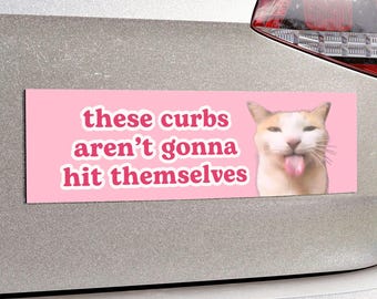 Cat Meme Car Bumper Magnet | These Curbs Aren't Gonna Hit Themselves | Cute Funny, Kawaii Silly Cat, Pink Car Accessory Decal | Car Magnet