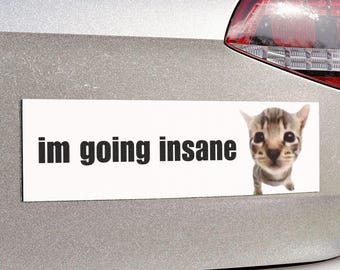 im going insane | Cat Meme Car Bumper Magnet | Funny Cute, Kitty Car Accessory, White Magnetic Car Decal Decor | Waterproof Vinyl Car Magnet