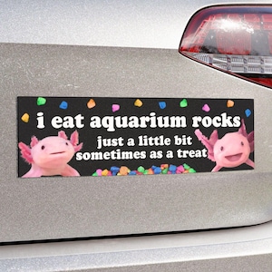 May include: Black bumper sticker with the text "i eat aquarium rocks just a little bit sometimes as a treat". The sticker features two pink axolotls and colorful aquarium rocks.