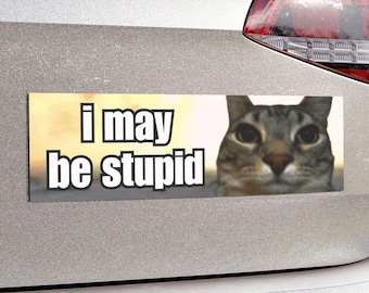 Cat Meme Car Bumper Magnet | I May be Stupid | Funny Cat Meme, Cute Kitty Cat, Unhinged Car Magnet Decor | Waterproof Magnetic Car Decal