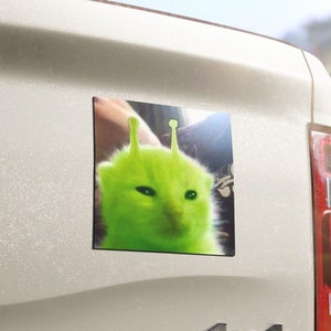 May include: A green alien cat with antennas on its head is featured on a white car bumper sticker. The cat has a serious expression and is looking directly at the camera.