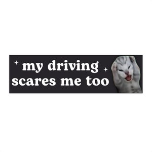 my driving scares me too | Cat Meme Car Bumper Sticker | Funny Cute Gift Car Accessory Sticker | Waterproof Vinyl Car Decal | 11&quot; x 3&quot;
