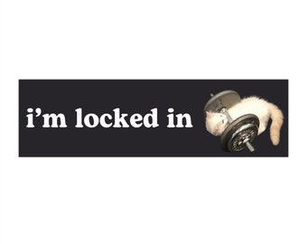 i'm locked in | Cat Meme Car Bumper Sticker | Black Gym Kitty Funny Cute Car Accessories Decal | Waterproof Vinyl Car Sticker | 11" x 3"
