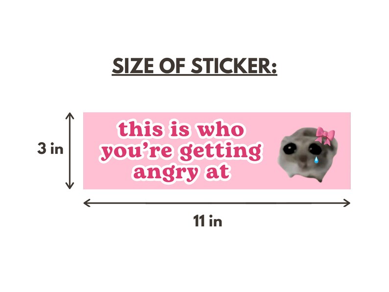 This is Who Youre Angry at | Sad Hamster Car Bumper Sticker | Crying ...