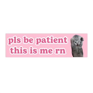 pls be patient this is me rn | Cat Meme Car Bumper Sticker | Crying Funny Cute Car Sticker | Waterproof Vinyl Window Car Decal | 11&quot; x 3&quot;