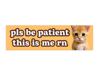 pls be patient this is me rn | El Gato Cat Meme Car Bumper Sticker | Crying Funny Kitty Cute Car Sticker Decor | Waterproof Vinyl | 11" x 3"
