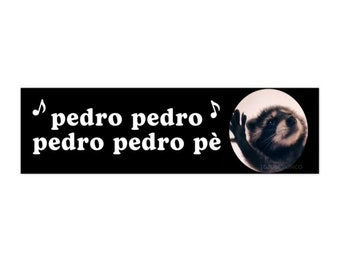 Pedro Raccoon | Animal Dancing Tik Tok Meme Car Bumper Sticker | Funny Gen Z Car Sticker Accessories | Waterproof Vinyl Car Decal | 11&quot; x 3&quot;