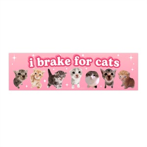 I Brake for Critters | Cat Meme Car Bumper Sticker | Funny Pink Cute ...