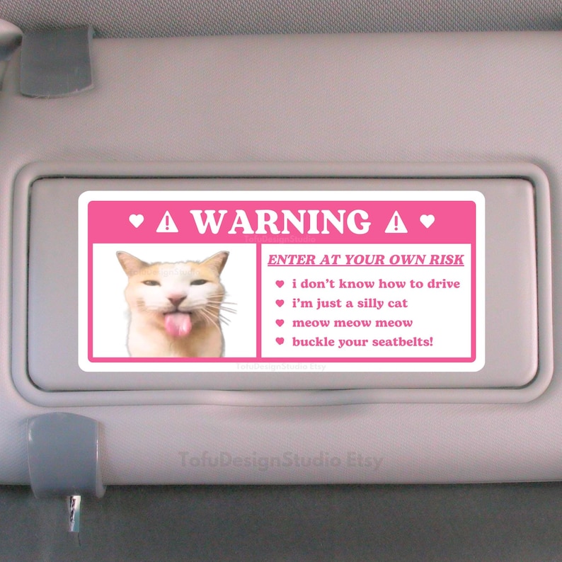 Silly Cat Meme Car Warning Sticker | Cute Funny Kitty, Caution Airbag Label, Kawaii Pink Car Accessory Decal | Vinyl Sticker for Car Visor car bumper sticker coquette genz trendy weird car gift girlfriend boyfriend meow seatbelts seatbelt