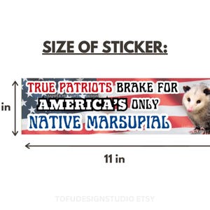 Pegatina para parachoques de coche con forma de zarigüeya / Patriotas auténticos, frenan ante el único marsupial nativo de Estados Unidos / Meme divertido de zarigüeya / Pegatina de vinilo resistente a la intemperie para coche STICKER 11" × 3"